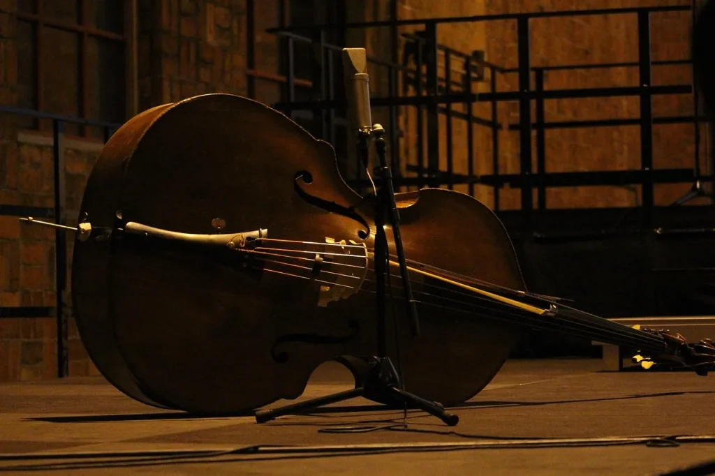 Revealed: How Many Instruments Are in a Symphony Orchestra?