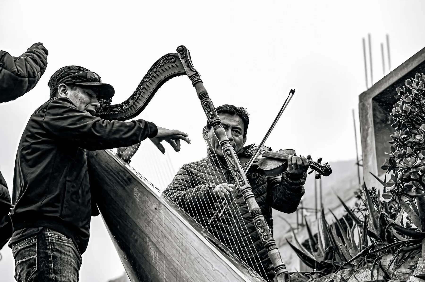 Musicians playing the violin and harp Musicians playing the violin and harp