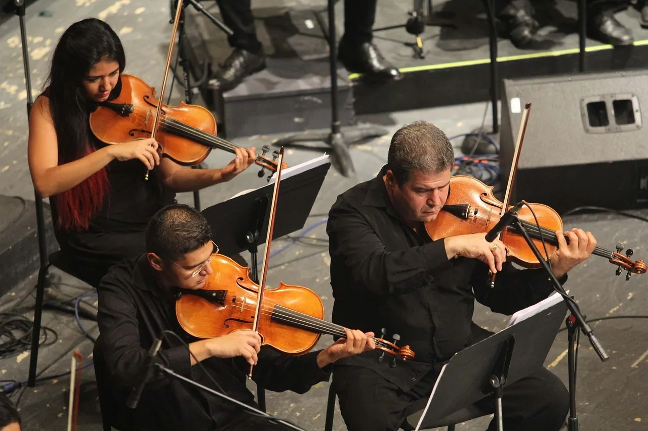 Violinists playing in an orchestra Violinists playing in an orchestra