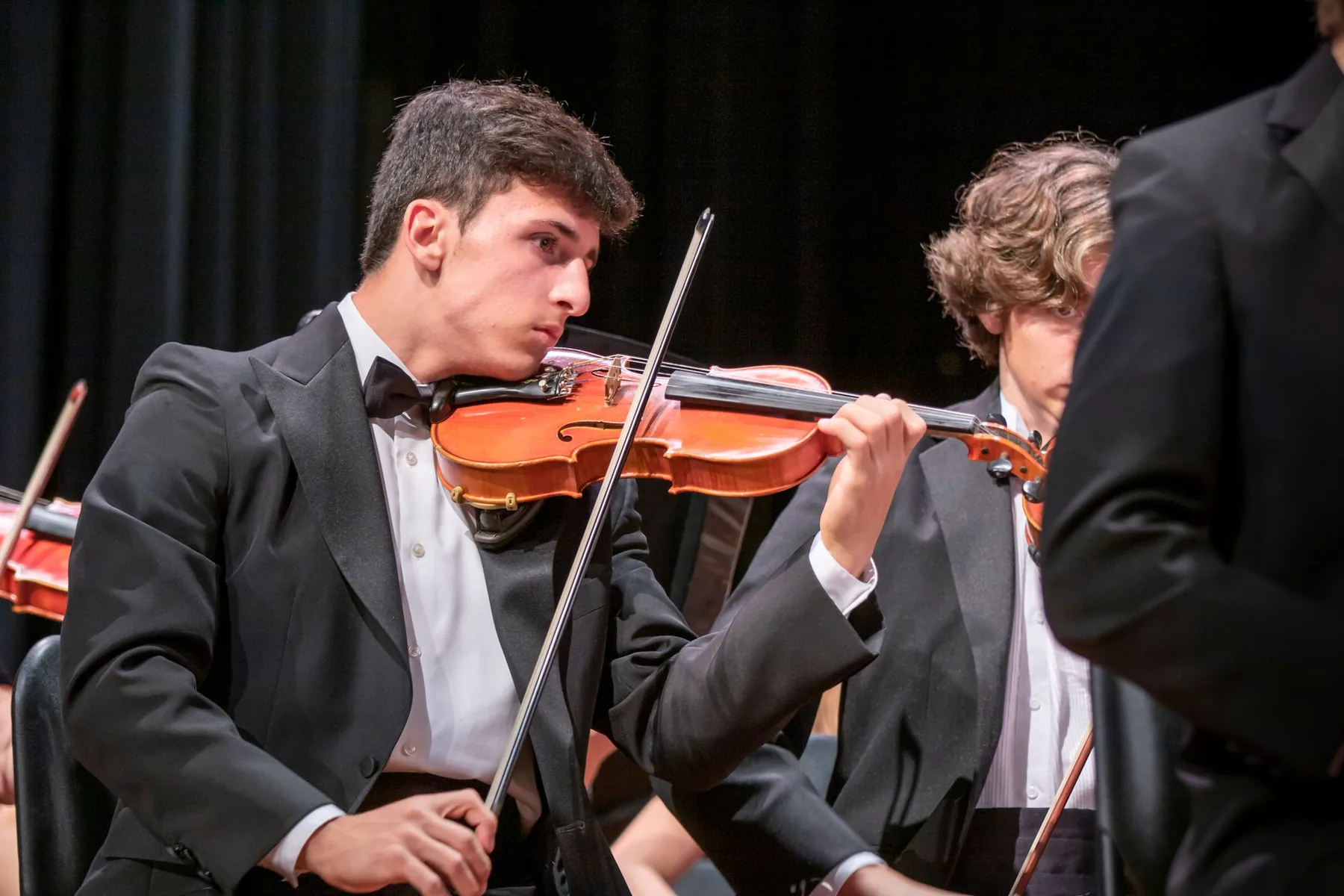 Violinist in an orchestra Violinist in an orchestra
