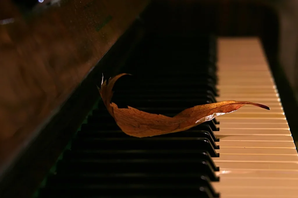 À la découverte du Petit Nègre de Debussy