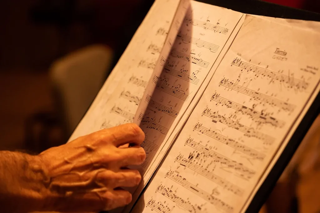 How Did Mozart Die? The Main Theories